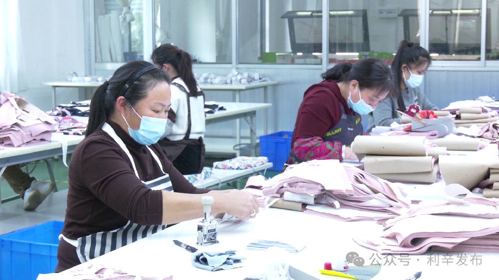 利辛輕紡：突破 “小而散” 藩籬，構(gòu)建百億產(chǎn)業(yè)版圖