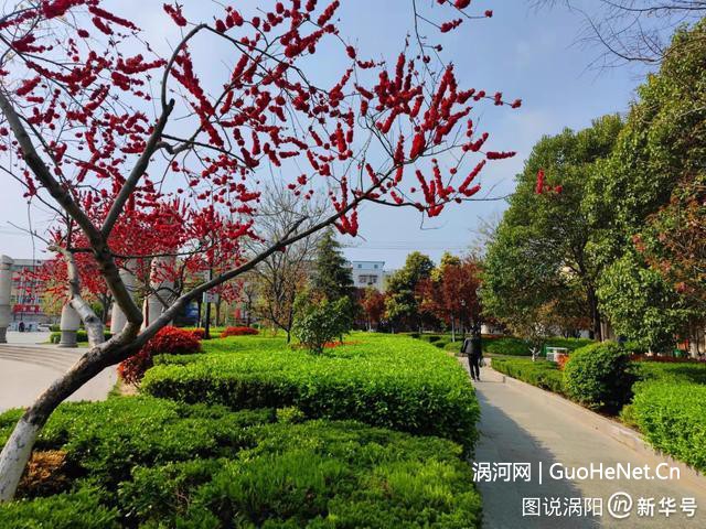 老子故里渦陽(yáng)：老子文化廣場(chǎng) 微雨潤(rùn)春色，紫陌染芳菲