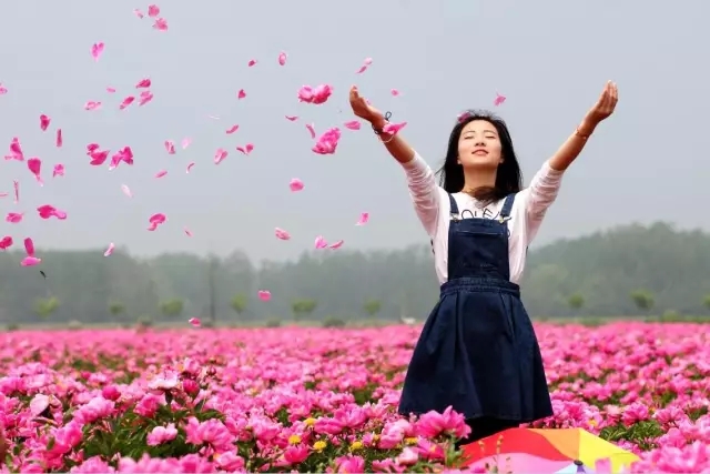 上車！帶你去看“醉美”芍花海，絕對(duì)不虛此行！