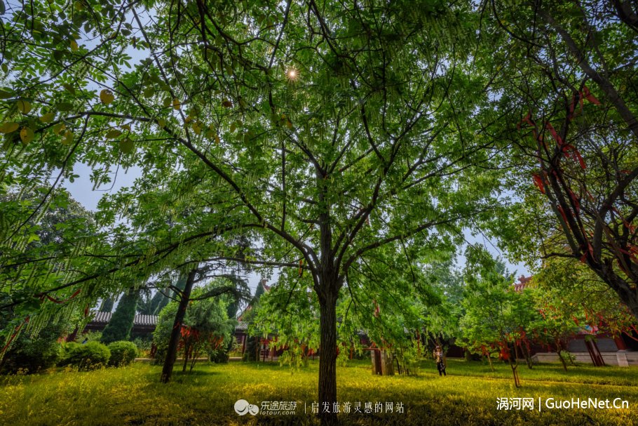 圖文幸福花園兒