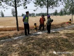 老鄉(xiāng)們，咱渦陽交警溫馨提醒：曬麥別占道